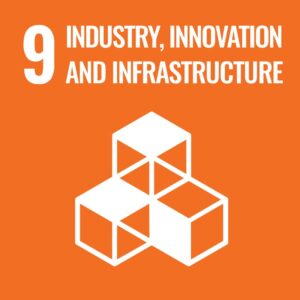 United Nations Sustainable Development Goal 9 icon