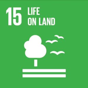 United Nations Sustainable Development Goal 15 icon